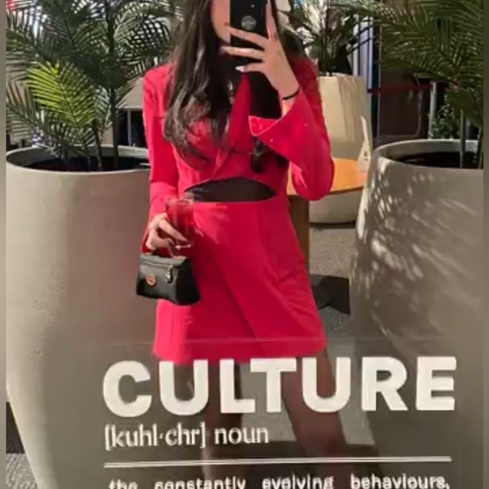 ZARA Blazer Dress
